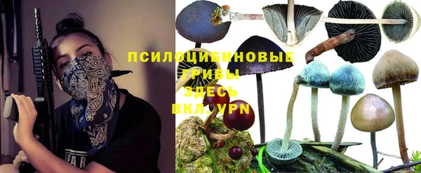 мдпв Нязепетровск