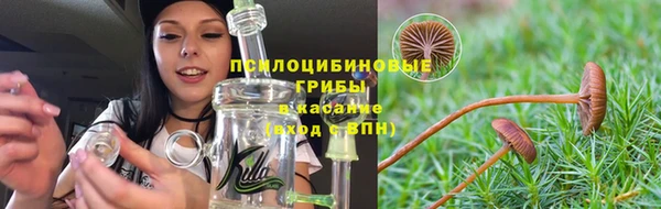 мдпв Нязепетровск