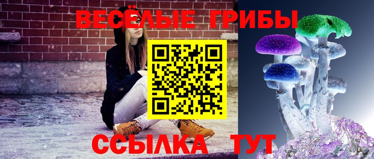 Псилоцибиновые грибы прущие грибы  Вход с VPN  Татарск 