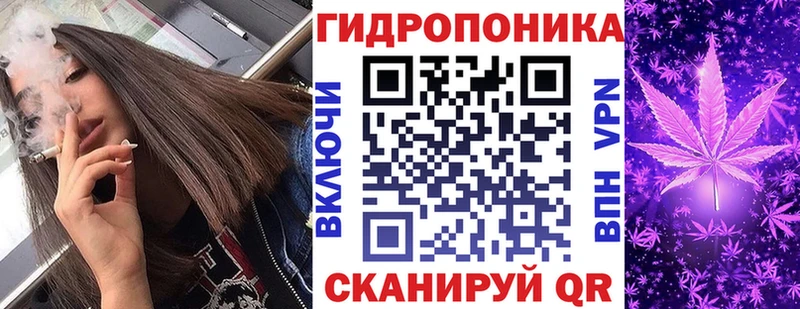 Бошки марихуана White Widow  кракен как зайти  Татарск  купить наркоту 